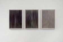 CONVERGENCE &ndash; Recent works by Susan Schwalb and Caroline Kryzecki